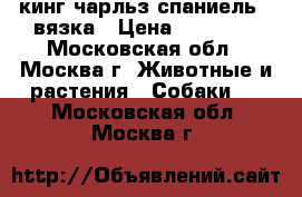 кинг чарльз спаниель - вязка › Цена ­ 10 000 - Московская обл., Москва г. Животные и растения » Собаки   . Московская обл.,Москва г.